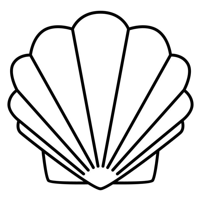 Shell
