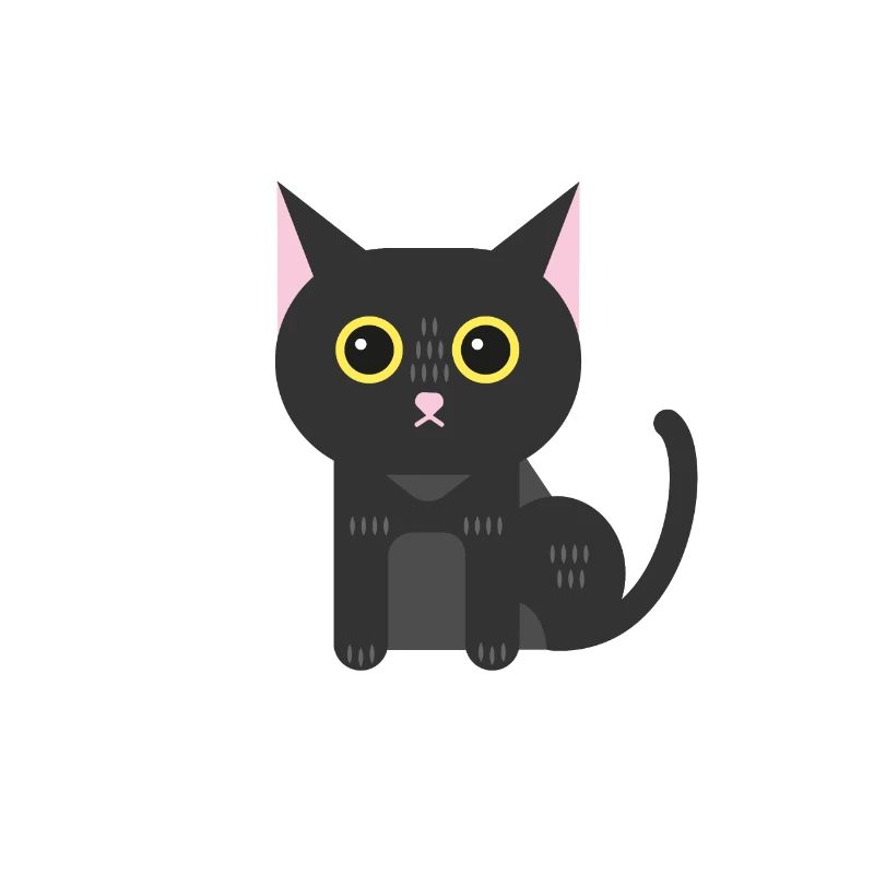 Chat noir chaton chat