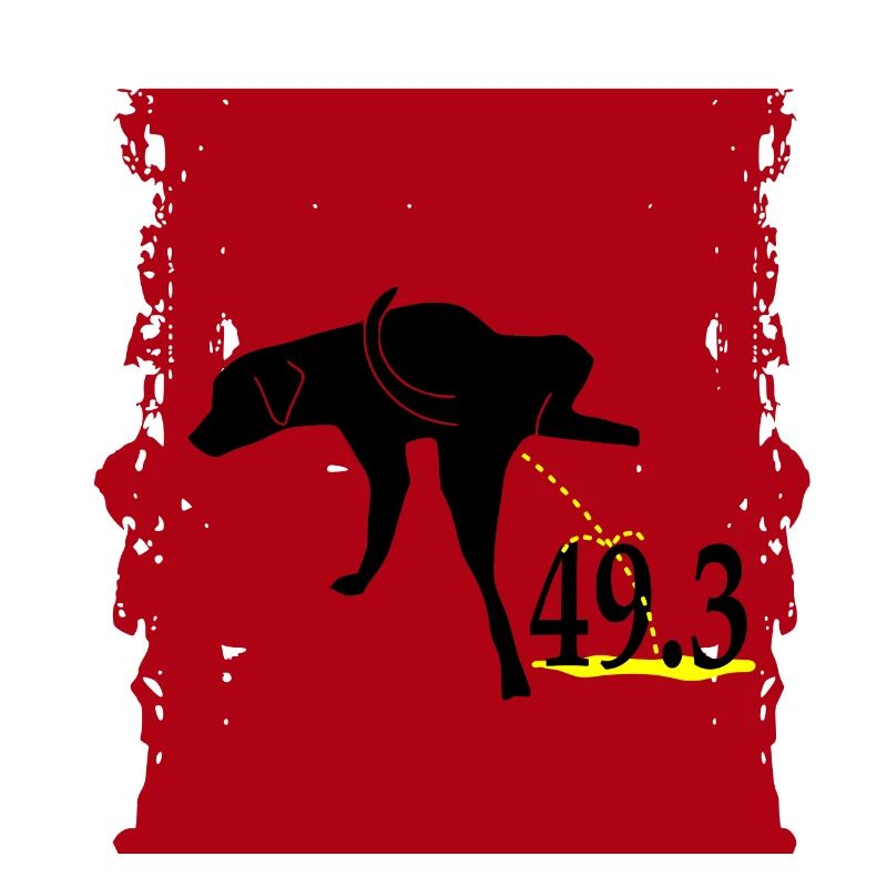 49.3