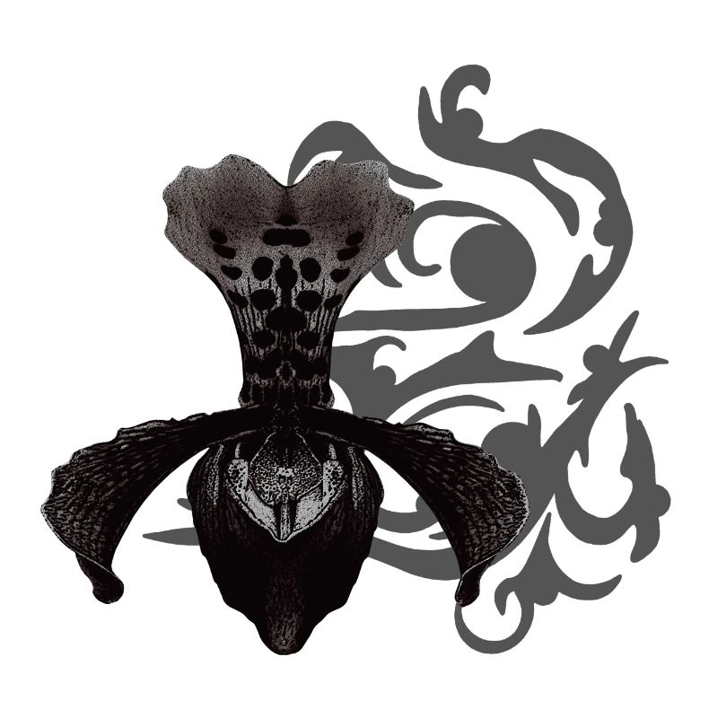 orchideen, tribals, gothic designs