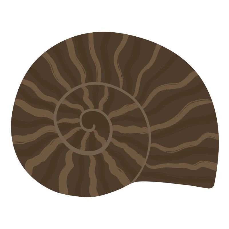 Conception élégante de motif fossile d’ammonite