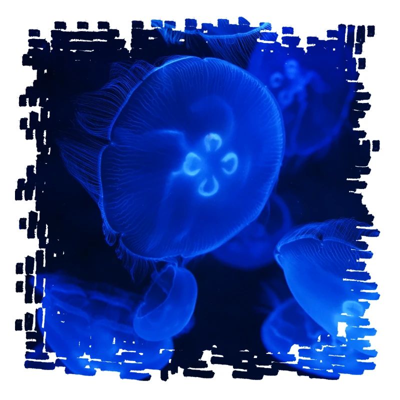 Neon jellyfish underwater magic