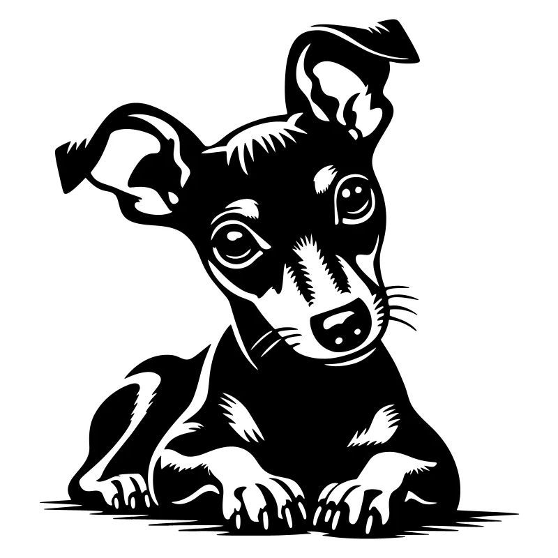 Pinscher nain