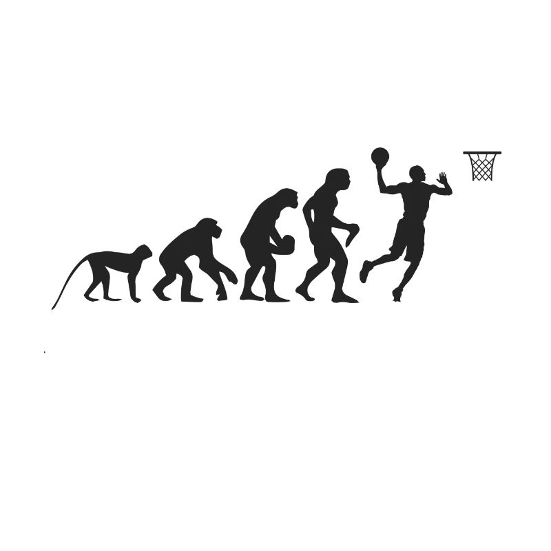 Evolution Basketball