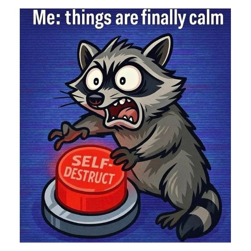 Raccoon Self-Destruct Meme