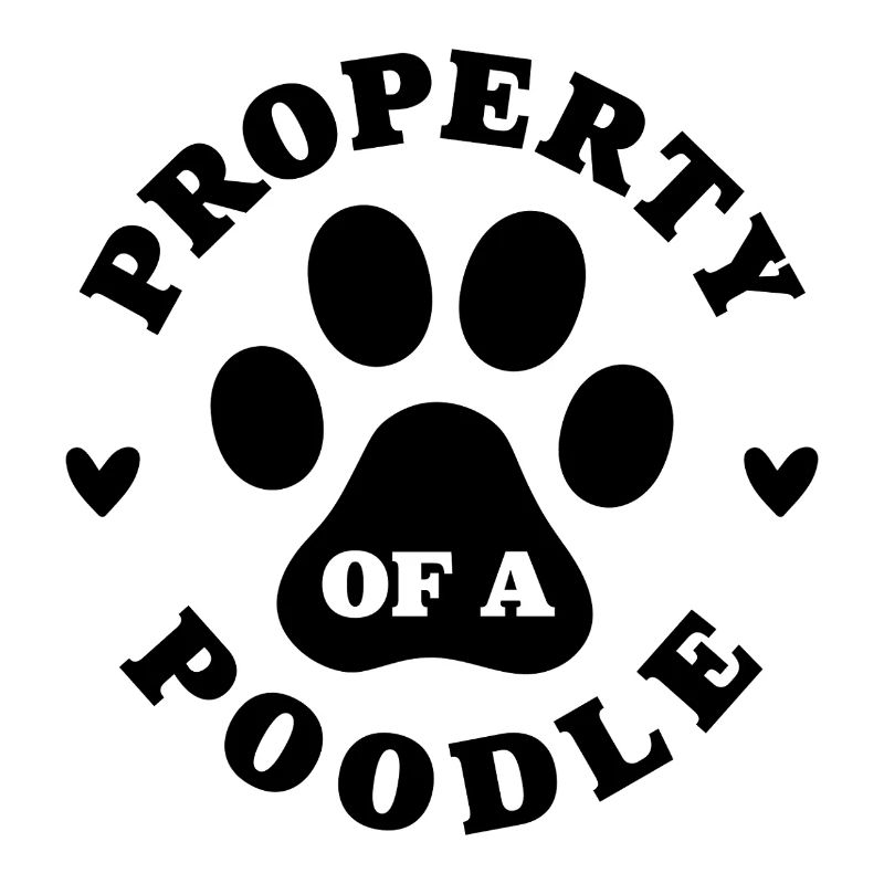 Eigentum eines Pudels