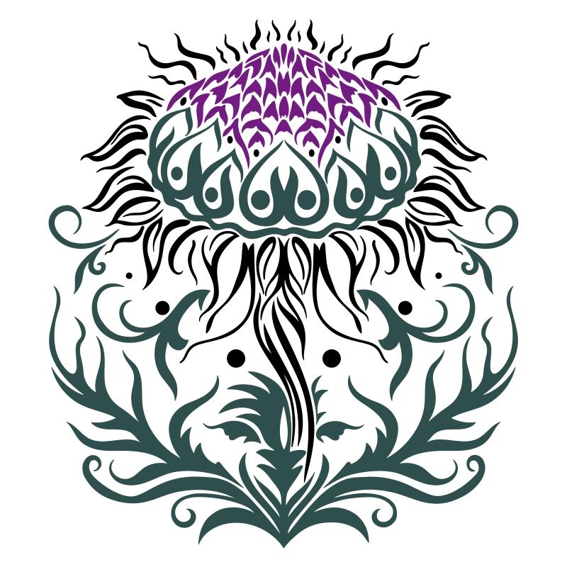 Chardon pourpre Chardon