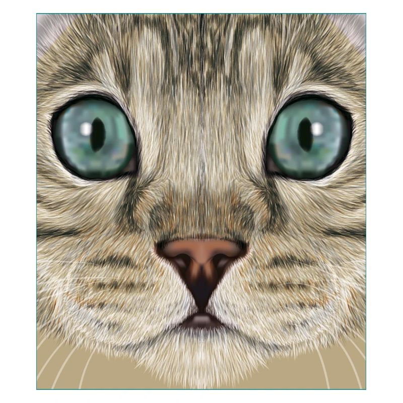 Chat léopard