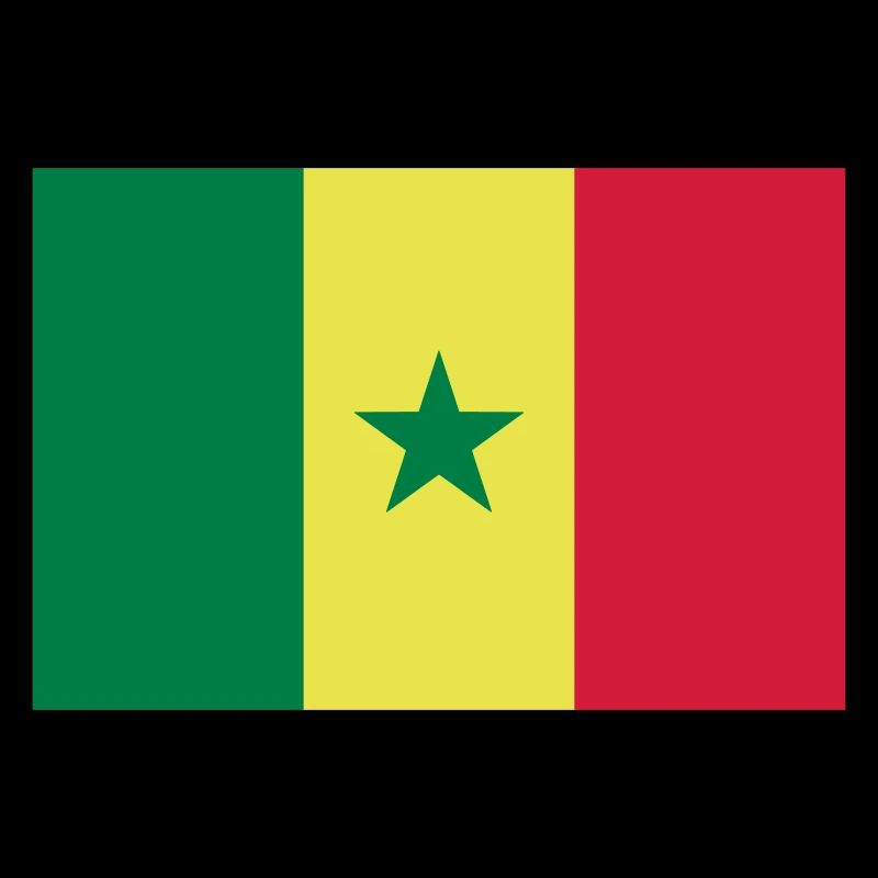 Drapeau Sénégal / Senegal flag