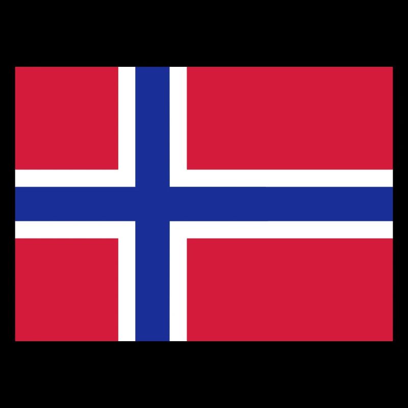 Drapeau Norvège / Norway flag