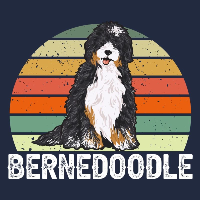 Bernedoodle Hund