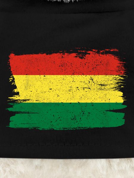 Bolivia Flag Bandiera Fred Vintage