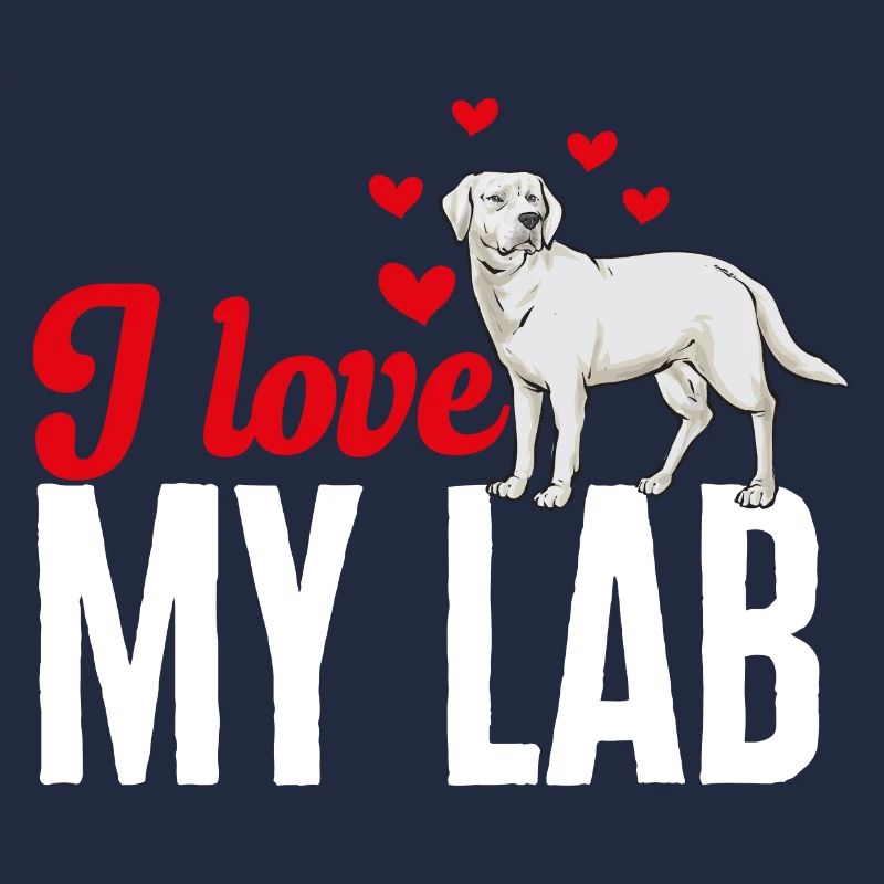 Labrador Retriever blanc Labrador Labrador blanc