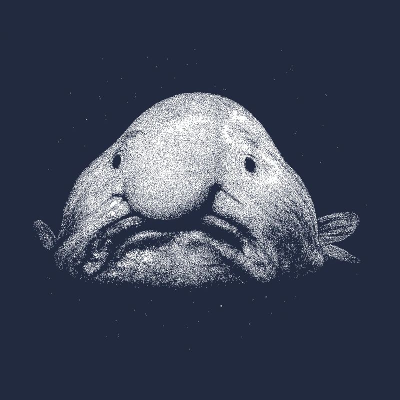 Ein Blobfisch