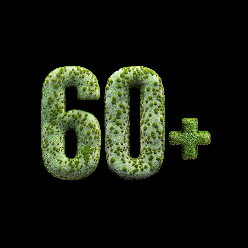 Birthday old 60 + ancient aged funny mossy rock
