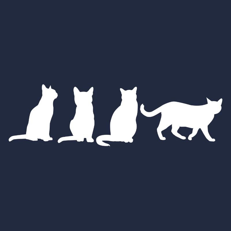 Drôles de chats