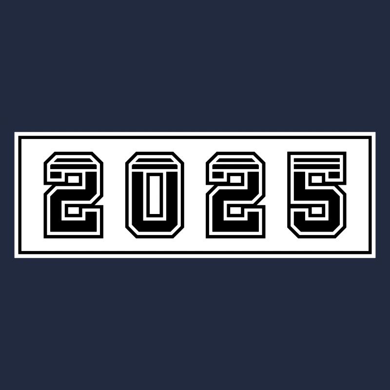 2025 year