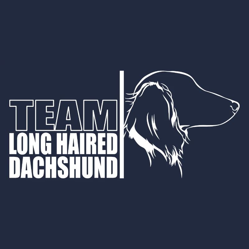TEAM Teckel à poil long Chiens Teckel Wilsigns