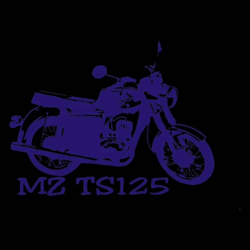MZ TS125