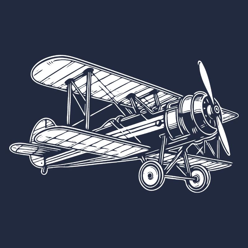 Biplane Oldtimer, conception classique d’avion