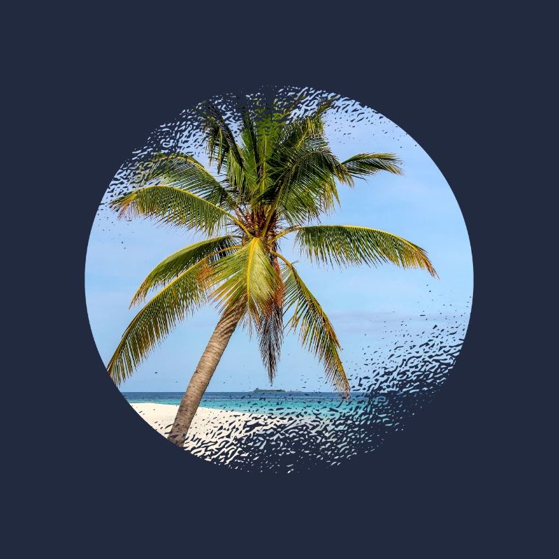 Maldives palm tree