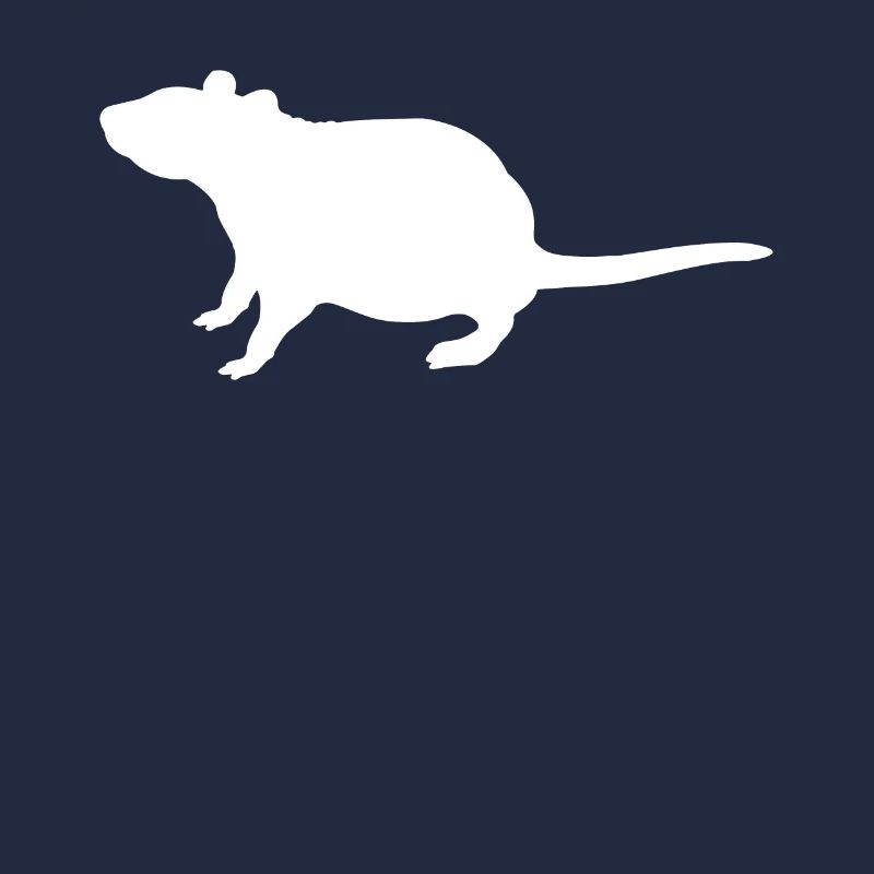 Ratte