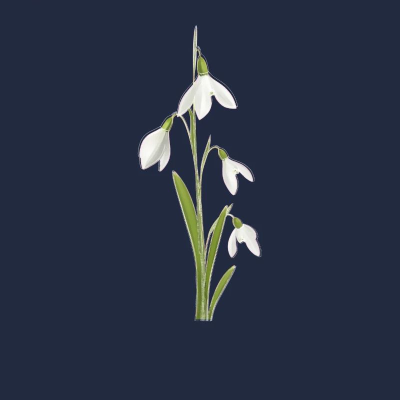 Perce-neige