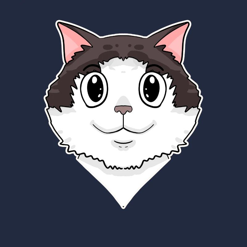 Ragdoll Cat