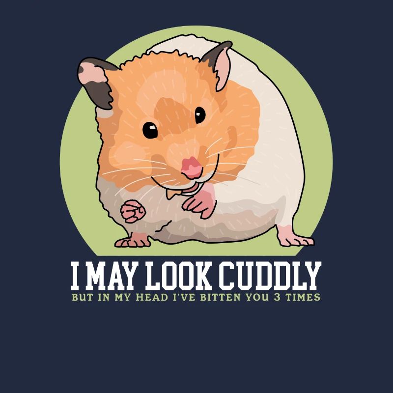 Hamster Golden Hamster | Dwarf Hamster Gift