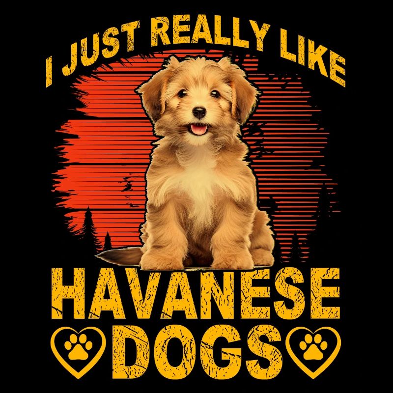 I just really like Havanese Dogs