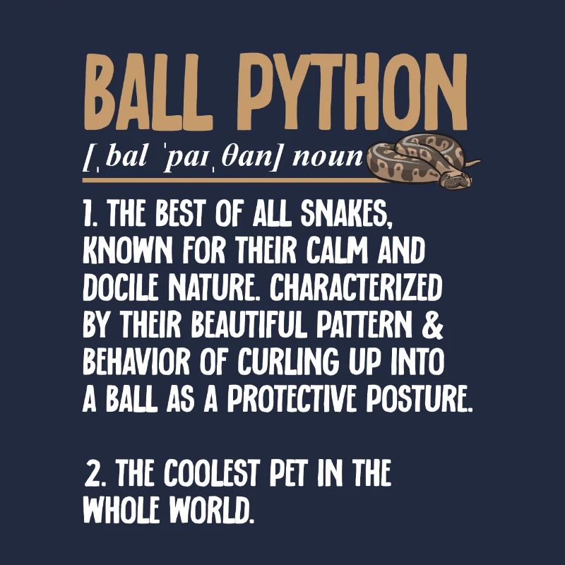 Ball Python Snake King Python