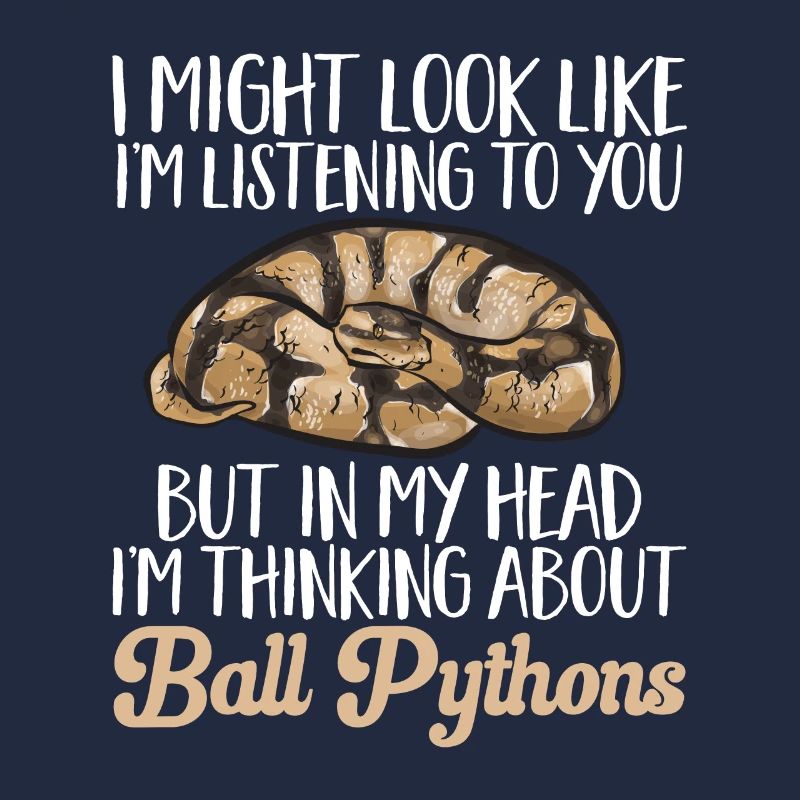 Ball Python Schlange Königspython