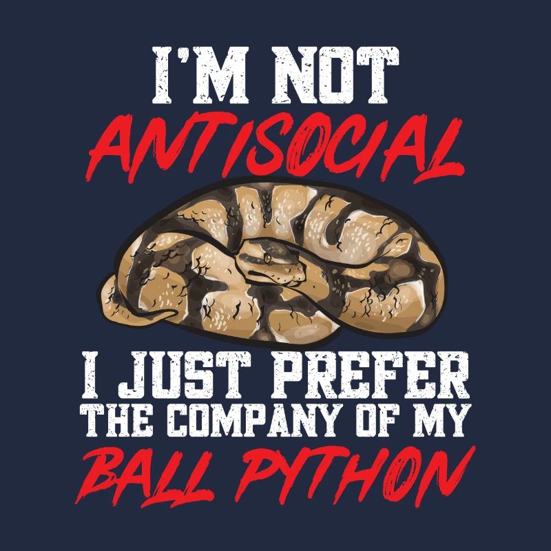 Ball Python Schlange Königspython