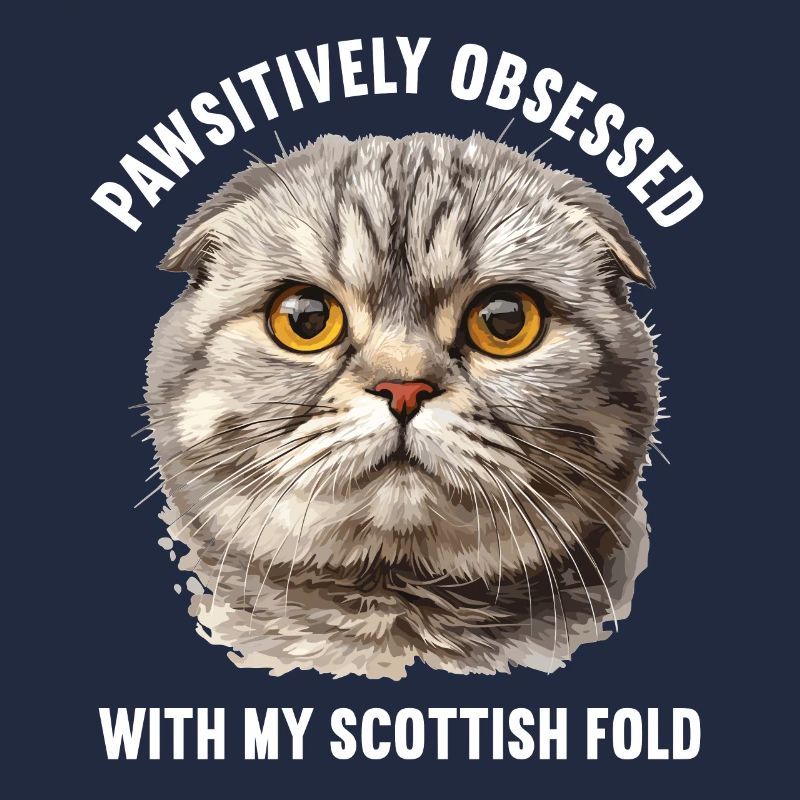 Scottish Fold Kitten Scottish Fold chat