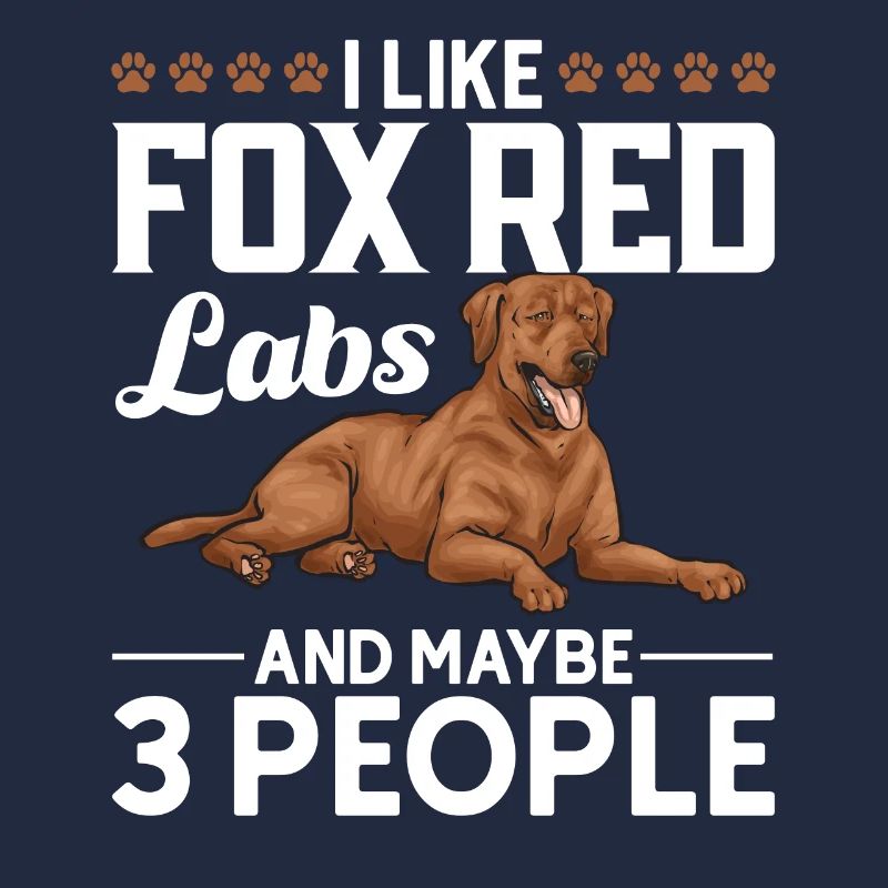Fuchsroter Labrador Retriever Fox Red Labrador