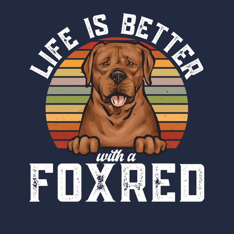 Fuchsroter Labrador Retriever Fox Red Labrador
