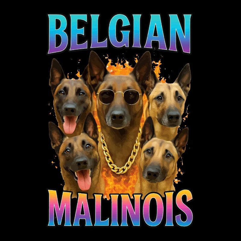 Belgischer Malinois