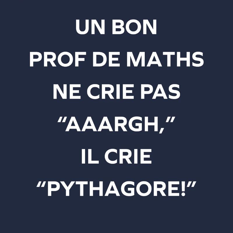 Prof de maths crie Pythagore