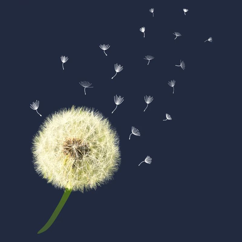 Pusteblume wünsch dir was