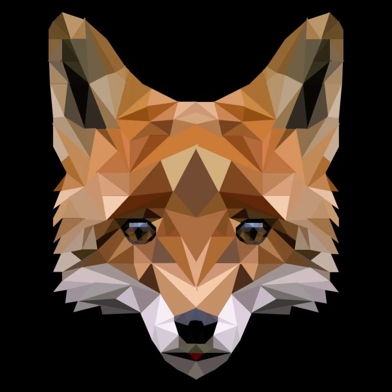 Polygon Fuchs