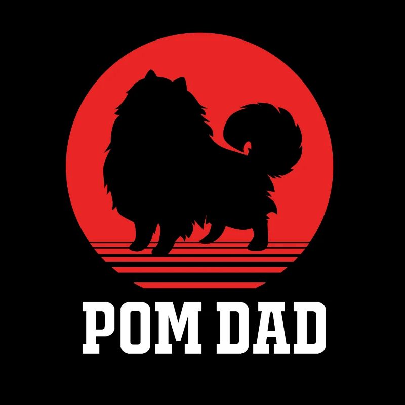 Zwergspitz Pomeranian