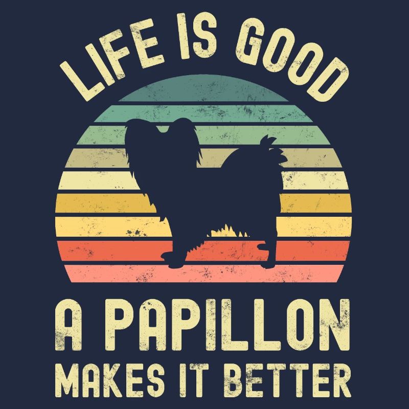 Hund Papillon