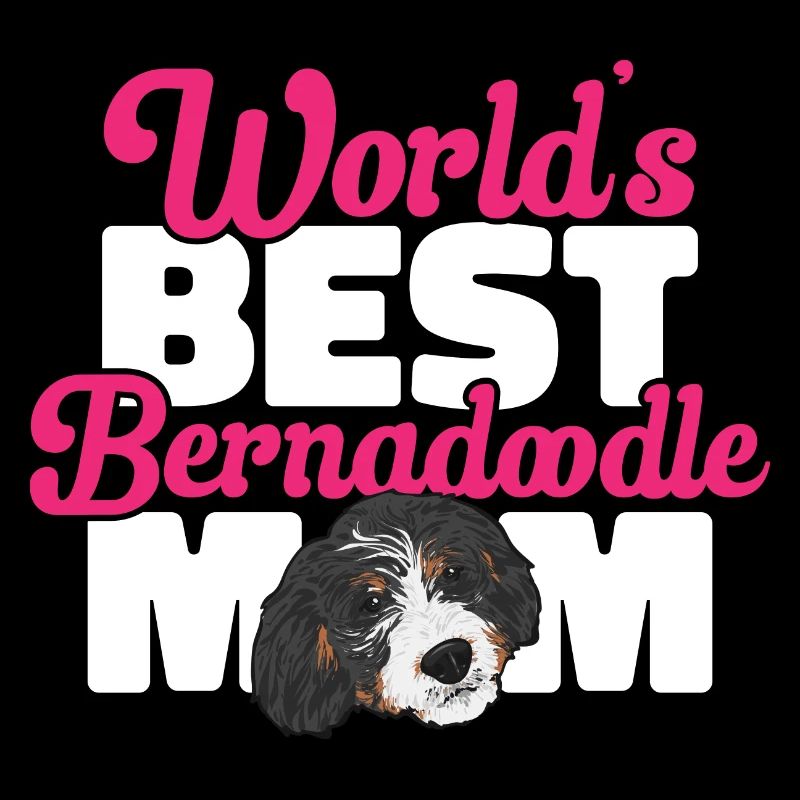Bernedoodle Hund