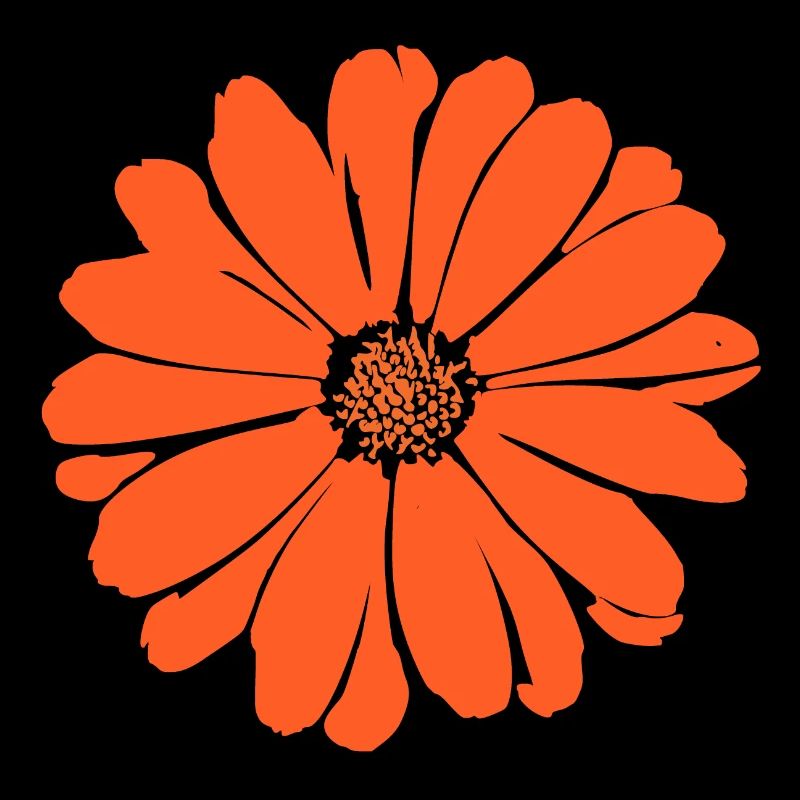 lilies, flower, blossom, oranges
