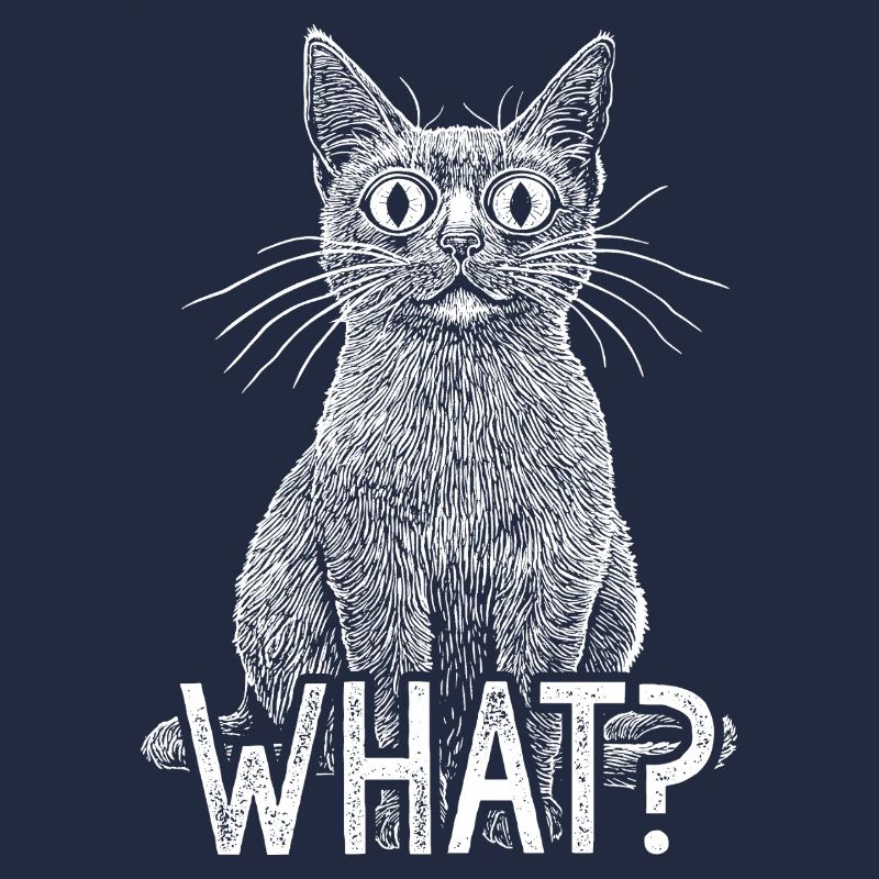 Chat Quoi Chat Blanc Drôle Avec Un Regard D’Horreur Intense