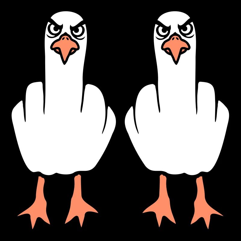 2 Möwen Mittelfinger Beleidigung Stinkefinger Team
