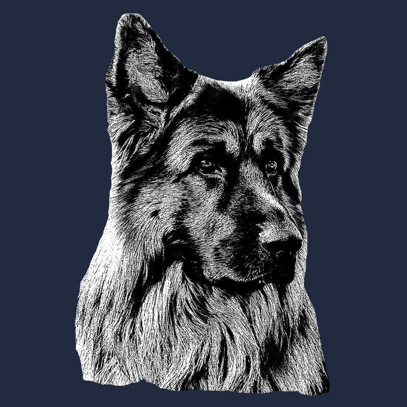 Schäferhund Deutscher Schäferhund German Shepherd