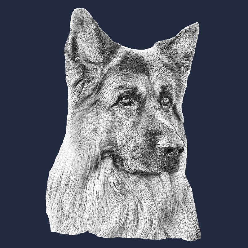 Old German Shepherd German Shepherd