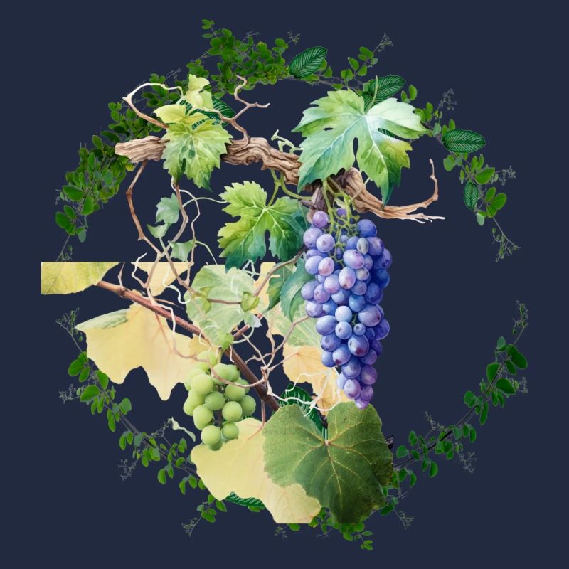 Feuilles de vignes avec raisins blanc et noir
