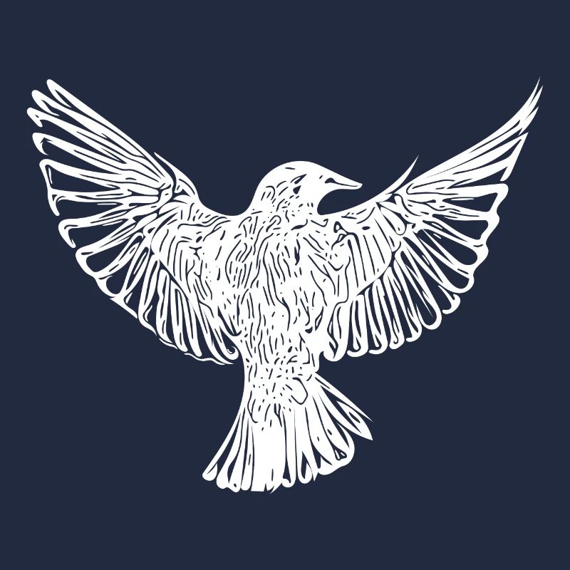 Bird in flight with open wings